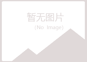 鹤壁山城夏日工程有限公司